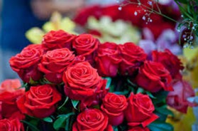 Sretan 8. mart